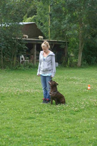 obeissance 2014-08-02